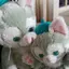 K♡のプロフィール画像