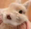 hee.のプロフィール画像