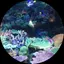 trxosyのプロフィール画像
