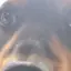 choのプロフィール画像