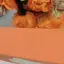 ひろのプロフィール画像