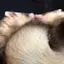 恵のプロフィール画像