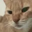 ひかるのプロフィール画像