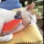 Ⓜ︎のプロフィール画像