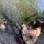 さやかのプロフィール画像