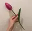 あかりのプロフィール画像