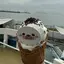 seseのプロフィール画像
