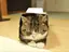 ゆなぴーのプロフィール画像