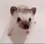 つうのプロフィール画像