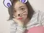 うりちゃんのプロフィール画像