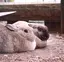 みのプロフィール画像