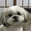 みわのプロフィール画像