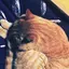 riのプロフィール画像