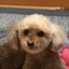 Hiroko101のプロフィール画像