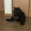 まりえのプロフィール画像