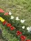o.uのプロフィール画像