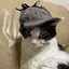 teayukaのプロフィール画像