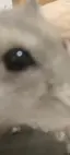Taのプロフィール画像