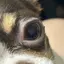 YUのプロフィール画像