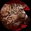 ちひろのプロフィール画像