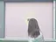 misakiのプロフィール画像