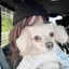 愛香のプロフィール画像