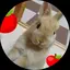 千春のプロフィール画像