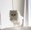 あやのプロフィール画像