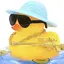 うみのプロフィール画像