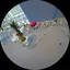 メルローズのプロフィール画像