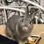 みづきのプロフィール画像