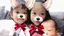 ひのひののプロフィール画像