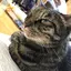 りっちゃんのプロフィール画像