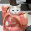 香奈枝のプロフィール画像