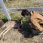 たろんのプロフィール画像