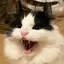 ちゅんでみのプロフィール画像