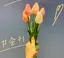 m03のプロフィール画像
