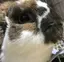 秀美のプロフィール画像