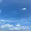 こぴよよのプロフィール画像