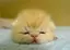 ∞appi∞のプロフィール画像