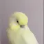 maのプロフィール画像