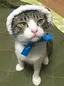 洋子のプロフィール画像