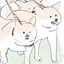 めめのプロフィール画像