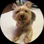 モカのプロフィール画像