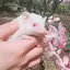 さおりのプロフィール画像