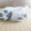 たきききのプロフィール画像