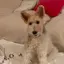 hirokoのプロフィール画像