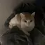 なななのプロフィール画像