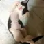 みぃのプロフィール画像