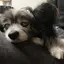 くろえりのプロフィール画像